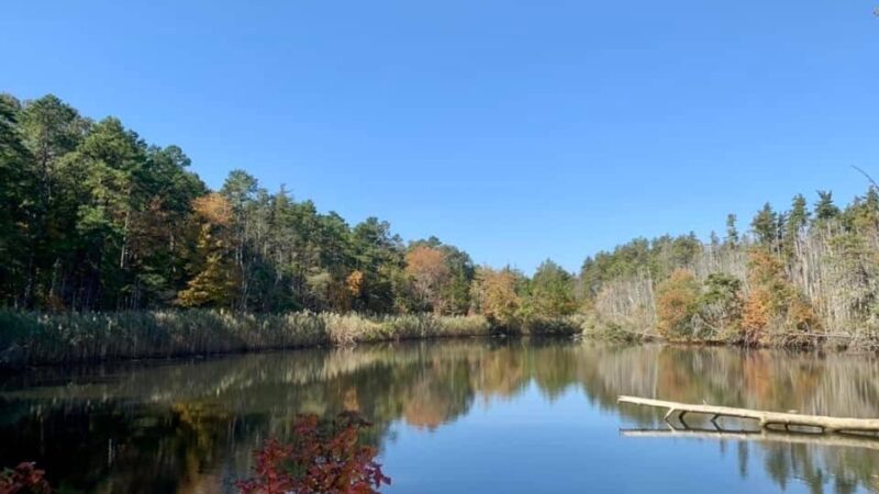 Eno's Pond County Park - Forked River, NJ