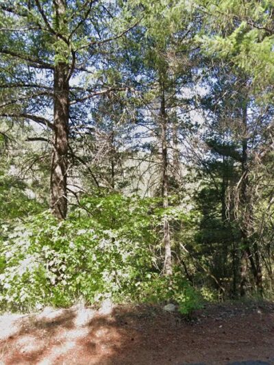 Matthews Creek Campground - Forks of Salmon, CA