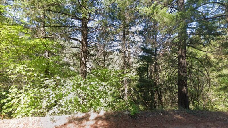 Matthews Creek Campground - Forks of Salmon, CA