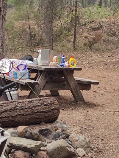 Matthews Creek Campground - Forks of Salmon, CA