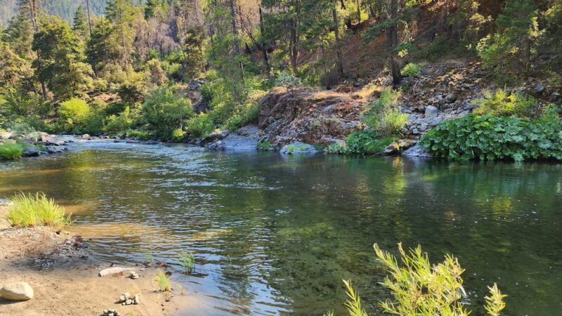 Matthews Creek Campground - Forks of Salmon, CA
