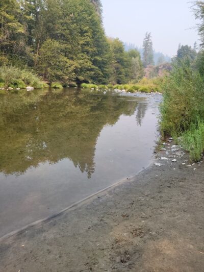 Matthews Creek Campground - Forks of Salmon, CA