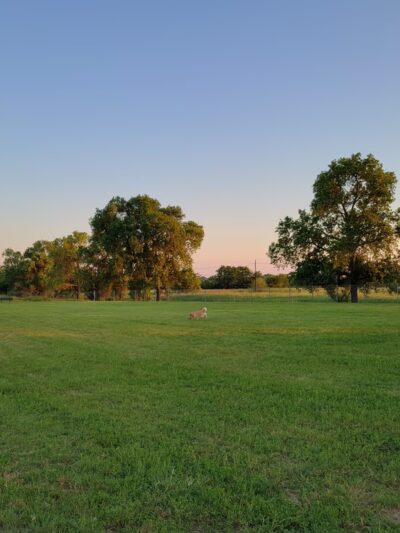 Chaffee Village Dog Park - Fort Cavazos, TX