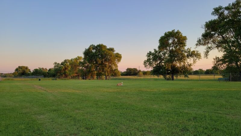 Chaffee Village Dog Park - Fort Cavazos, TX