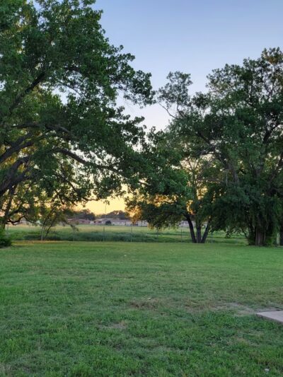 Chaffee Village Dog Park - Fort Cavazos, TX