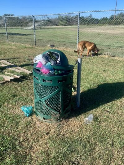 Fort Hood Dog Park - Fort Cavazos, TX