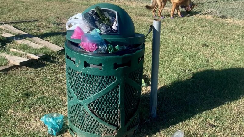 Fort Hood Dog Park - Fort Cavazos, TX