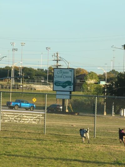 Fort Hood Dog Park - Fort Cavazos, TX