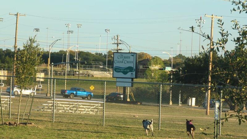 Fort Hood Dog Park - Fort Cavazos, TX