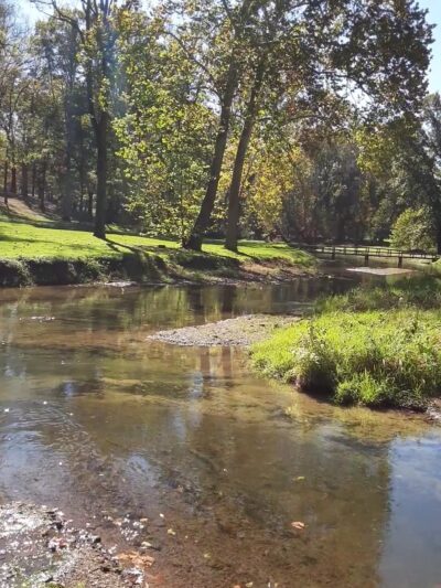 Carter's Park - Fort Chiswell, VA