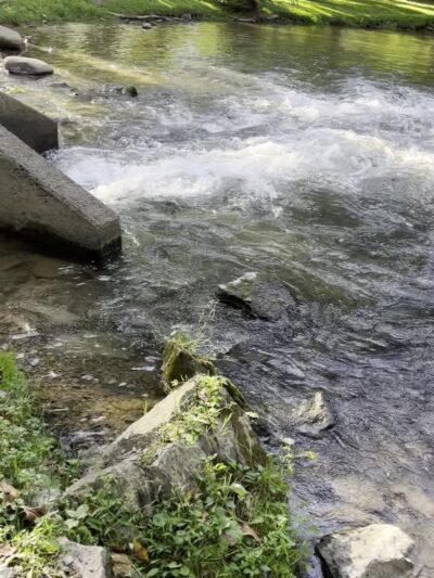 Carter's Park - Fort Chiswell, VA