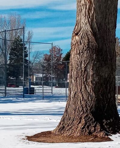Beattie Park - Fort Collins, CO