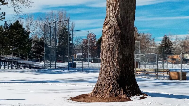 Beattie Park - Fort Collins, CO