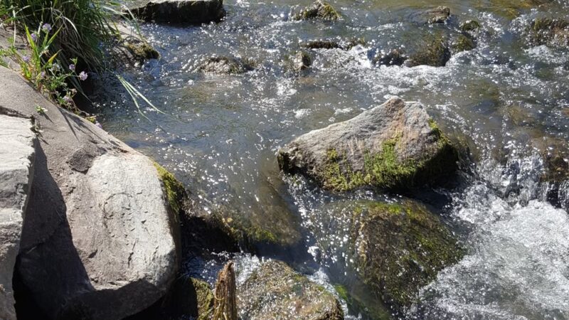 Creekside Park - Fort Collins, CO