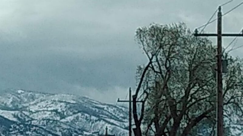 Iron Horse Park - Fort Collins, CO