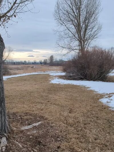 Rabbit Brush Park - Fort Collins, CO