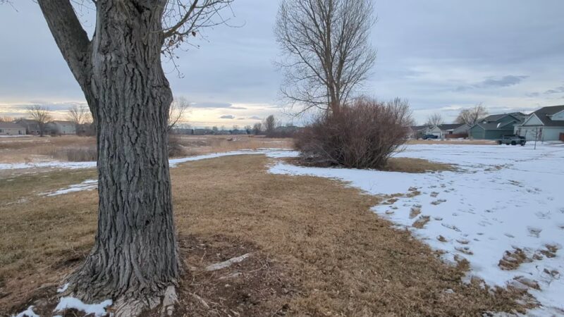 Rabbit Brush Park - Fort Collins, CO
