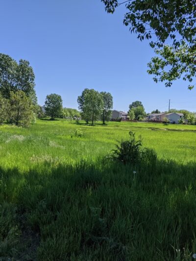 Rabbit Brush Park - Fort Collins, CO