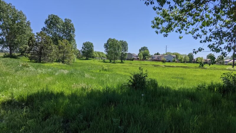 Rabbit Brush Park - Fort Collins, CO