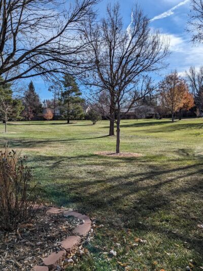 Rogers Park - Fort Collins, CO