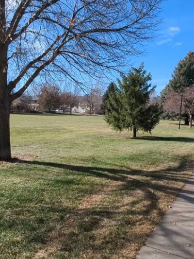 Rogers Park - Fort Collins, CO