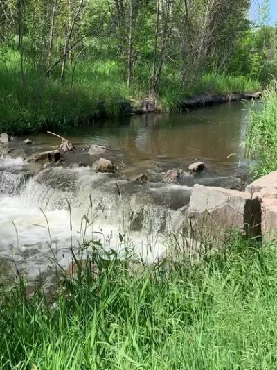 Spring Creek Trail - Fort Collins, CO