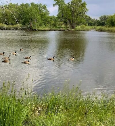 Spring Creek Trail - Fort Collins, CO