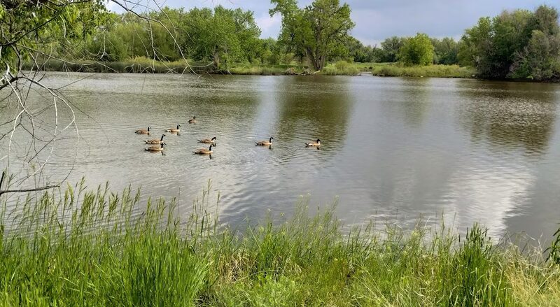 Spring Creek Trail - Fort Collins, CO