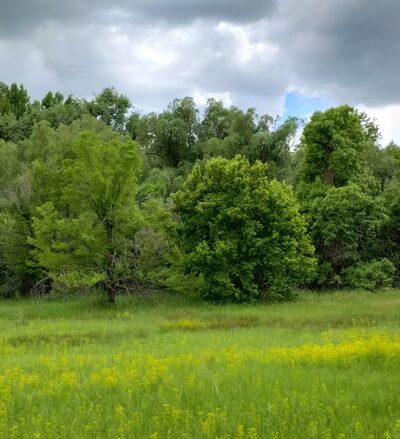 Spring Creek Trail - Fort Collins, CO
