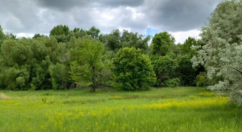 Spring Creek Trail - Fort Collins, CO