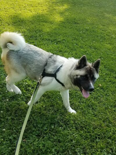 Woodwest Park - Fort Collins, CO