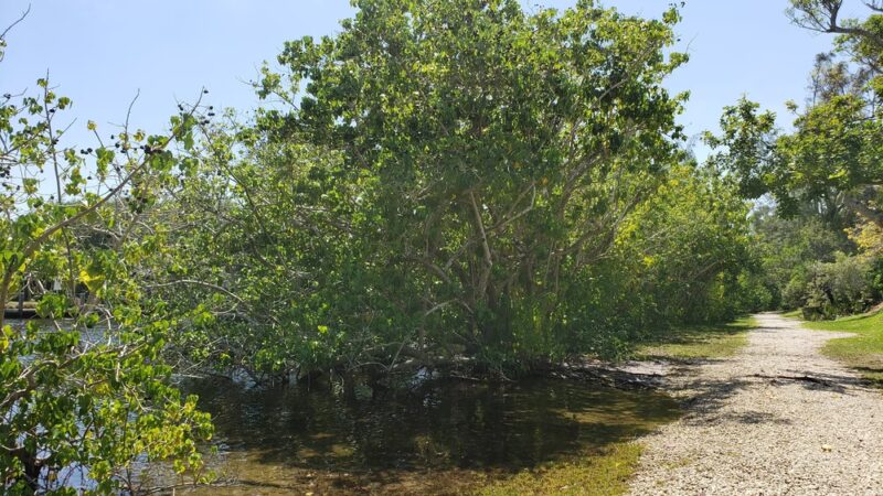 Annie Beck Park - Fort Lauderdale, FL