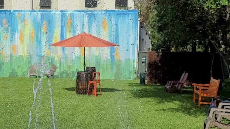 Barkyard n' Brews - Fort Lauderdale, FL