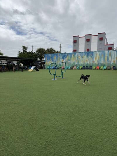 Barkyard n' Brews - Fort Lauderdale, FL