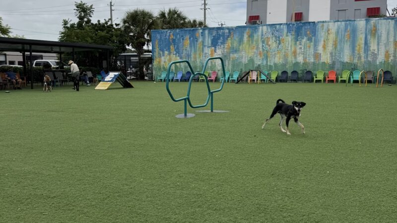 Barkyard n' Brews - Fort Lauderdale, FL