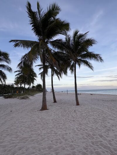 Canine Beach - Fort Lauderdale, FL