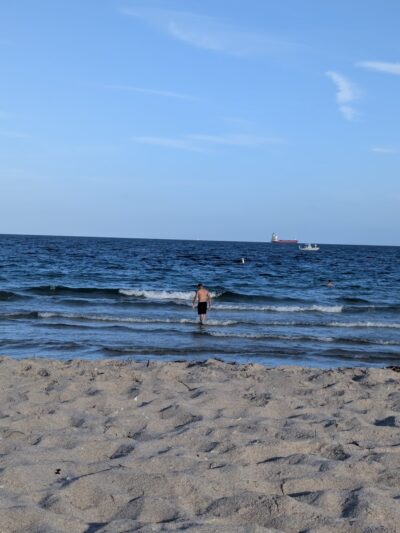 Canine Beach - Fort Lauderdale, FL