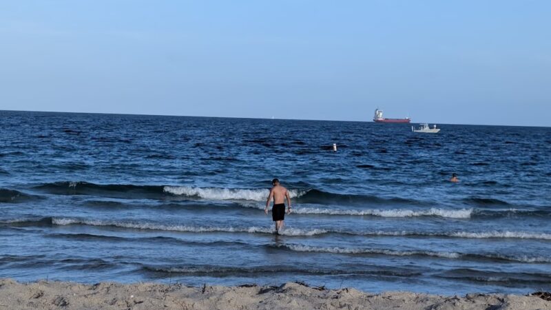 Canine Beach - Fort Lauderdale, FL