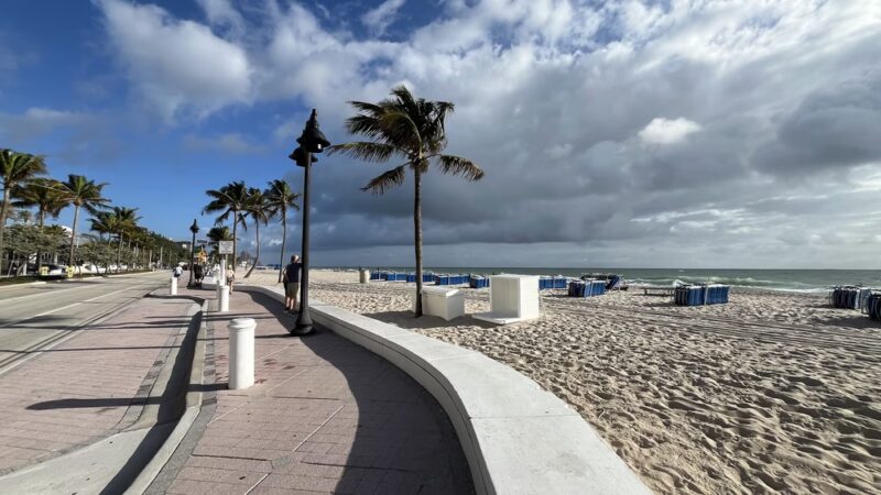 Canine Beach - Fort Lauderdale, FL