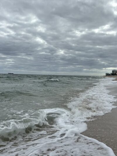 Canine Beach - Fort Lauderdale, FL