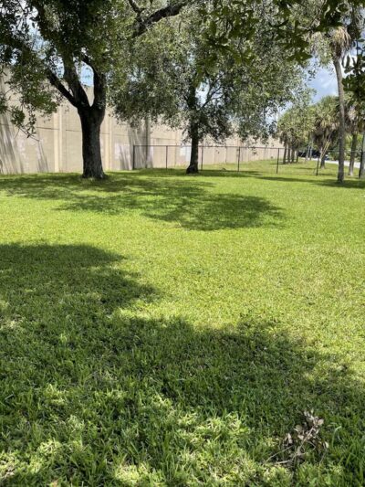 Community Dog Park - Fort Lauderdale, FL