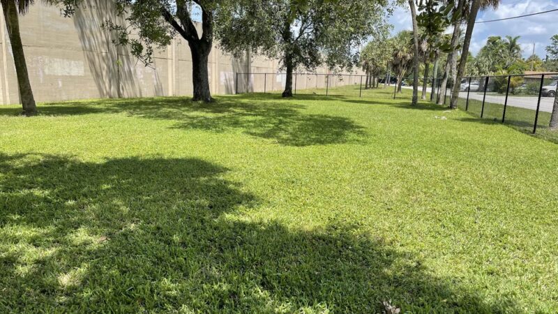 Community Dog Park - Fort Lauderdale, FL