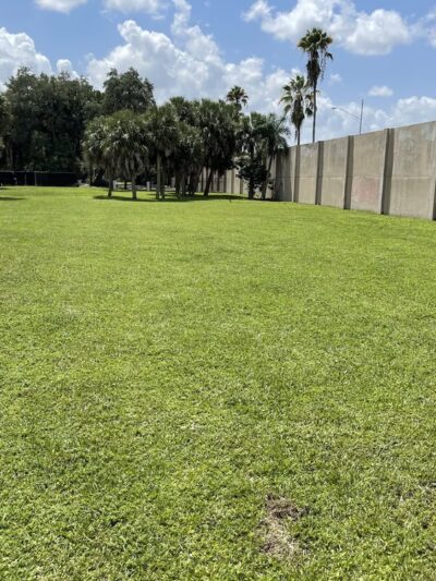 Community Dog Park - Fort Lauderdale, FL