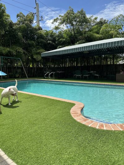 Croissant Bark Dog Park - Fort Lauderdale, FL