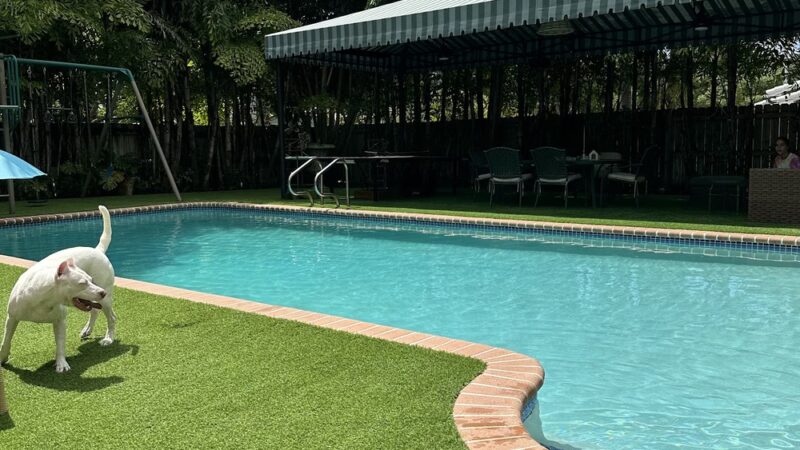 Croissant Bark Dog Park - Fort Lauderdale, FL