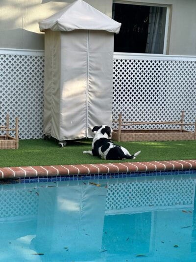 Croissant Bark Dog Park - Fort Lauderdale, FL