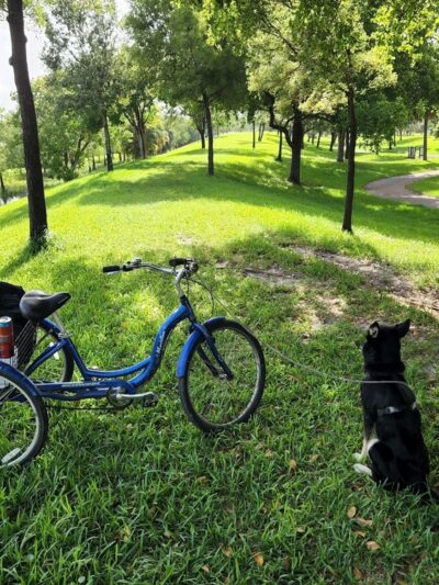 Edgewood Passive Park - Fort Lauderdale, FL