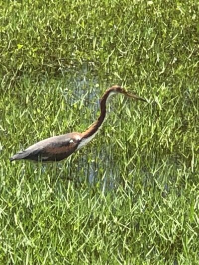 Edgewood Passive Park - Fort Lauderdale, FL