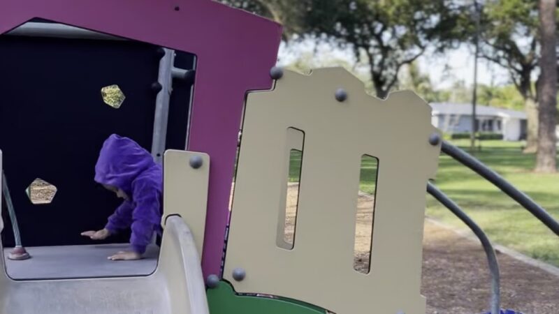 Flamingo park - Fort Lauderdale, FL