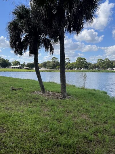 Florence C Hardy Park & Southside Cultural Center - Fort Lauderdale, FL